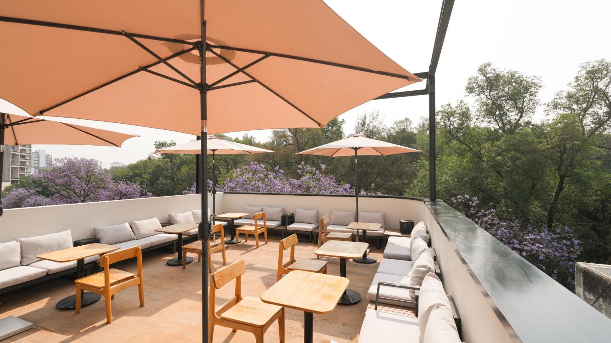 Rodona Hotel Mexico Extérieur photo